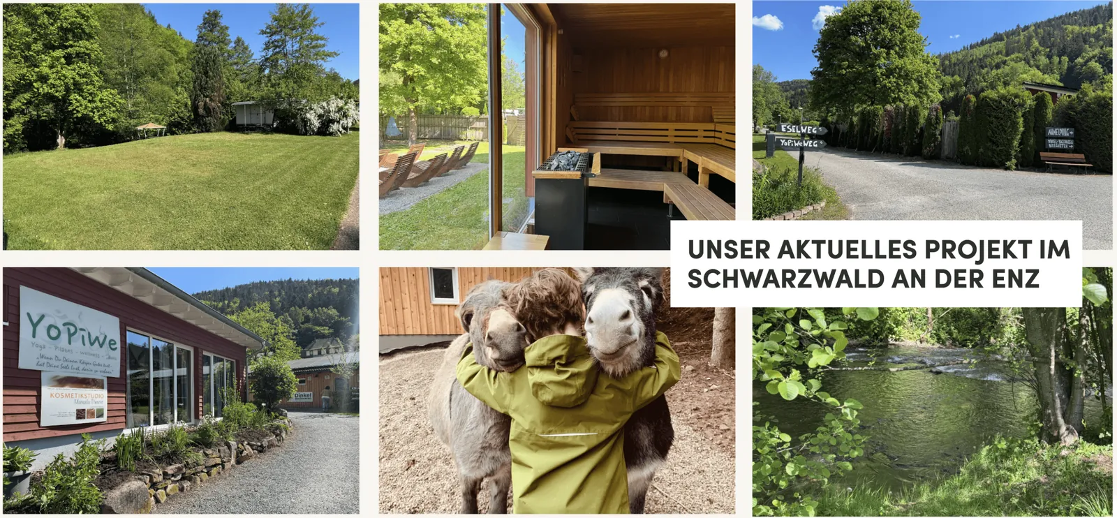 Collage: unser aktuelles Projekt im Schwarzwald an der Enz mit Platz, Sauna und Umgebung